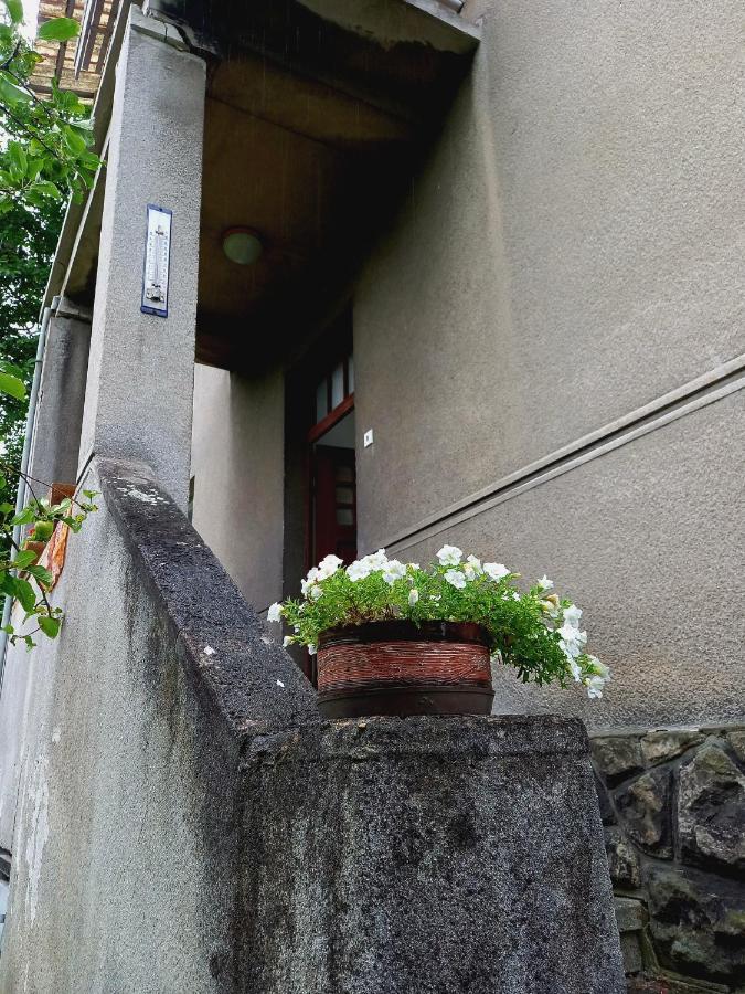 Vila Kotlarska Decin Exteriér fotografie